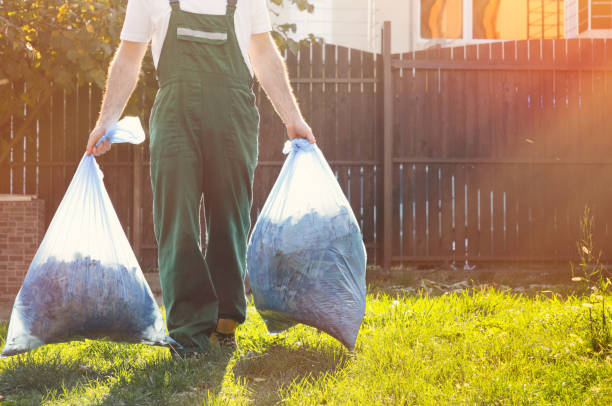 Best Basement Cleanout  in Pasadena, TX